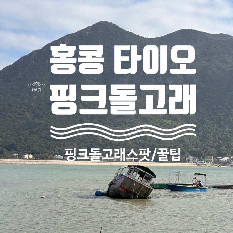 [홍콩 타이오] 홍콩 타이오마을 솔직후기 / 핑크돌고래 꿀팁(가기전 보고가세요)
