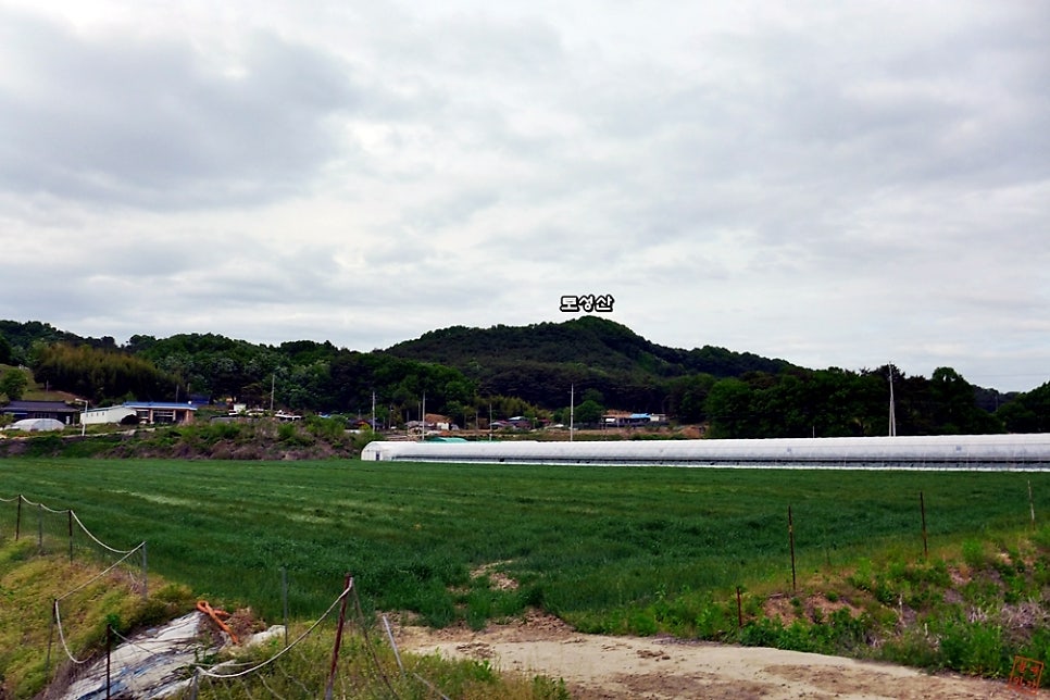 토성산 사진 6