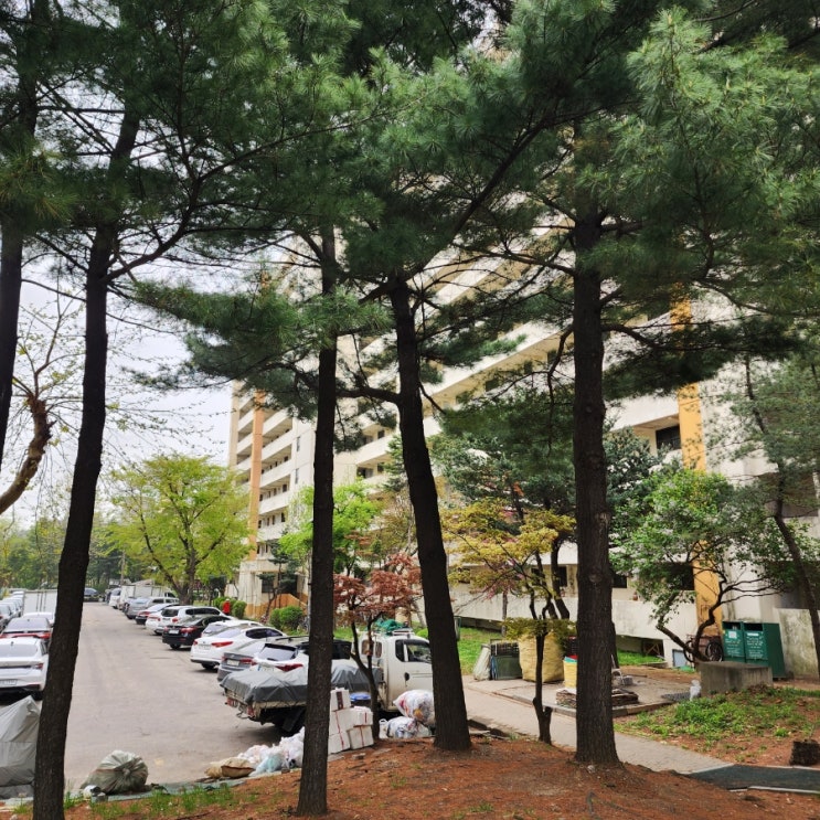  서울 양천구 재건축 아파트 신월시영 부동산 임장 및 실거주 후기