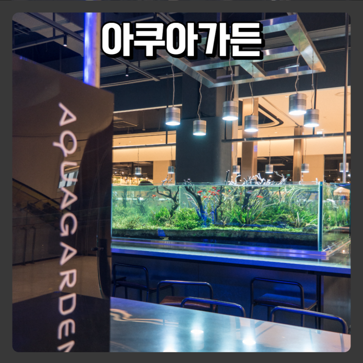  이색 수족관 카페, 이케아 기흥점 근처카페 - 아쿠아가든