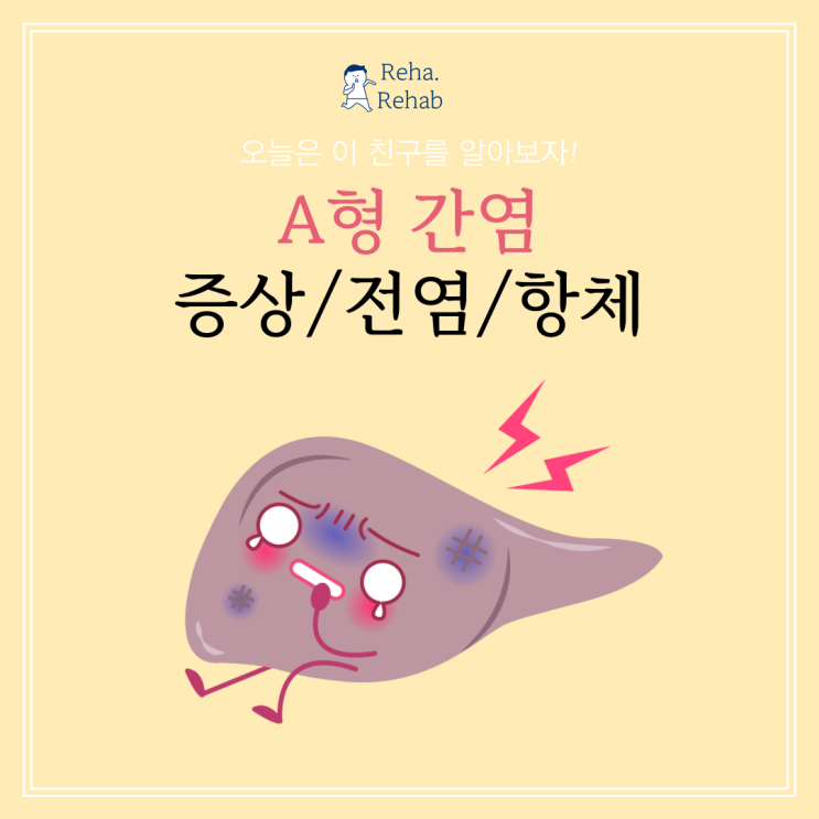 A형 간염의 증상 전염 항체 정보