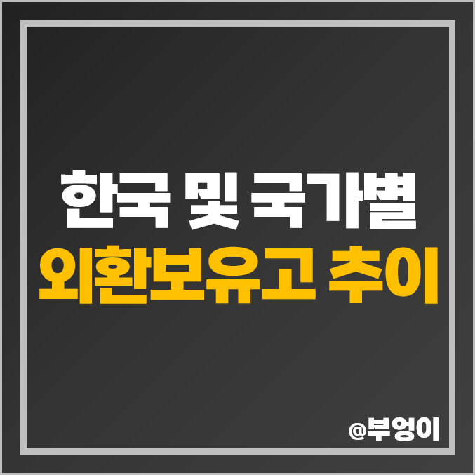 국내 외환보유고 추이 : 국가별 금액 및 한국 순위