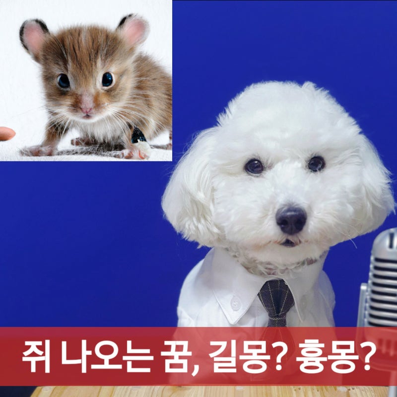 쥐를 잡는 것은 무엇을 의미합니까?
