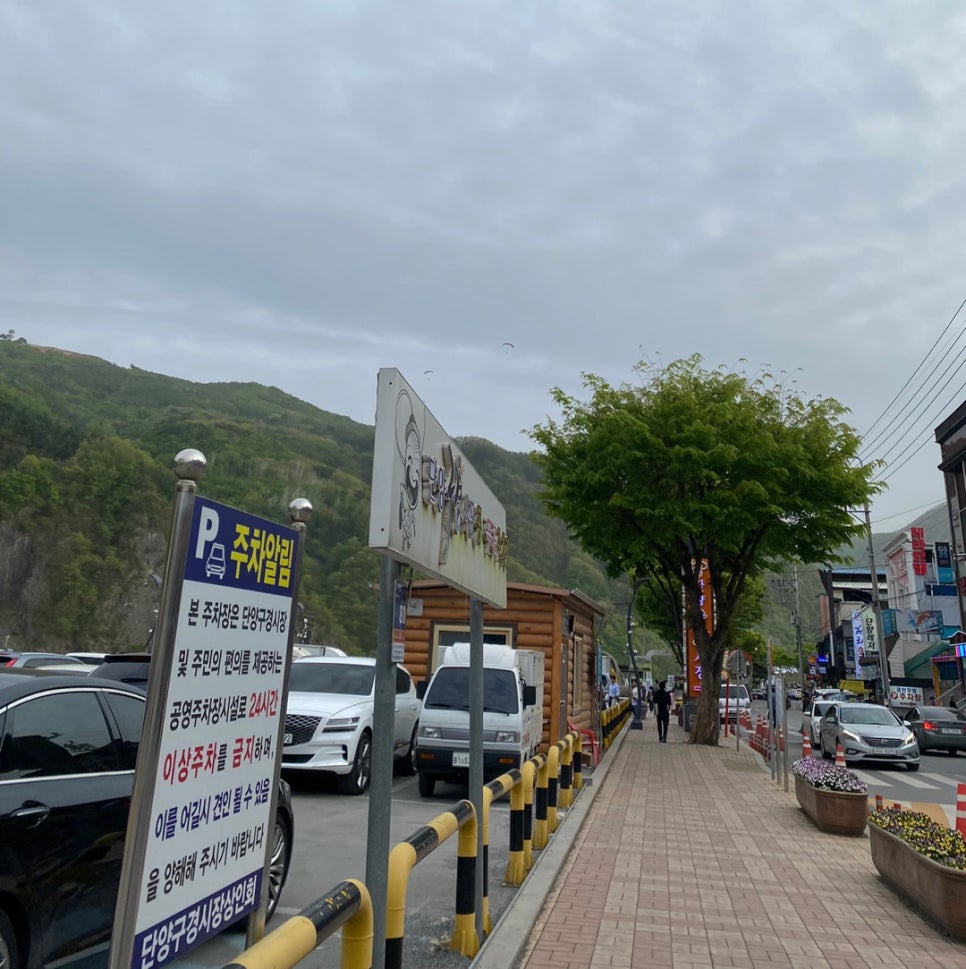 단양뜰펜션 사진 3