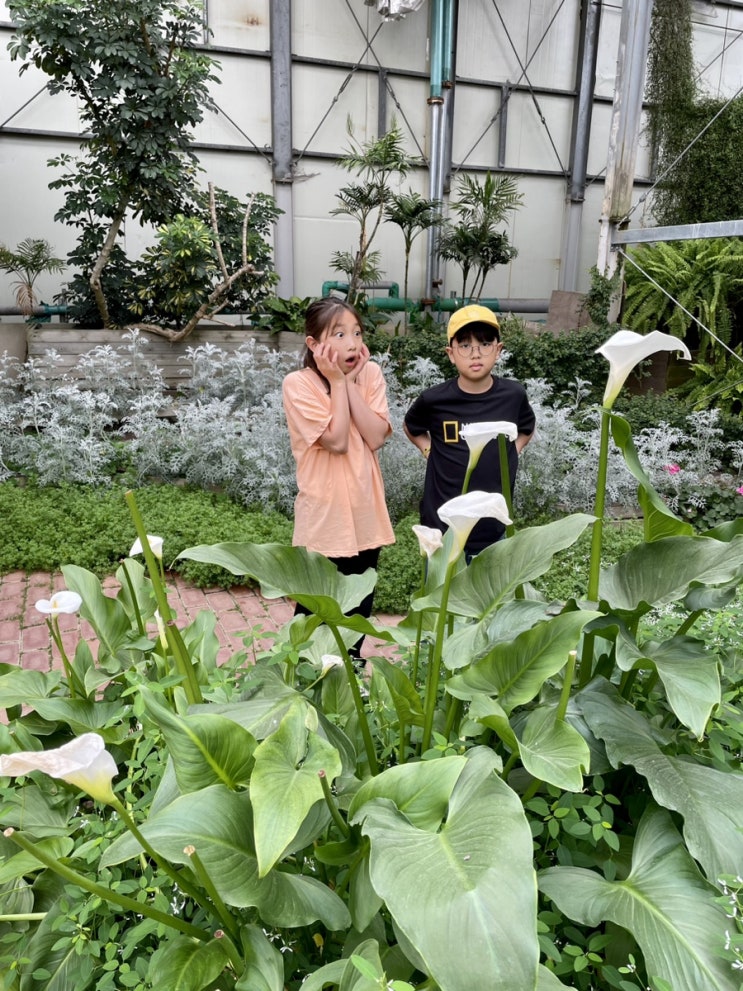 아산 가볼만한곳 어린이날 비오는날 세계꽃식물원 실내 방문하기