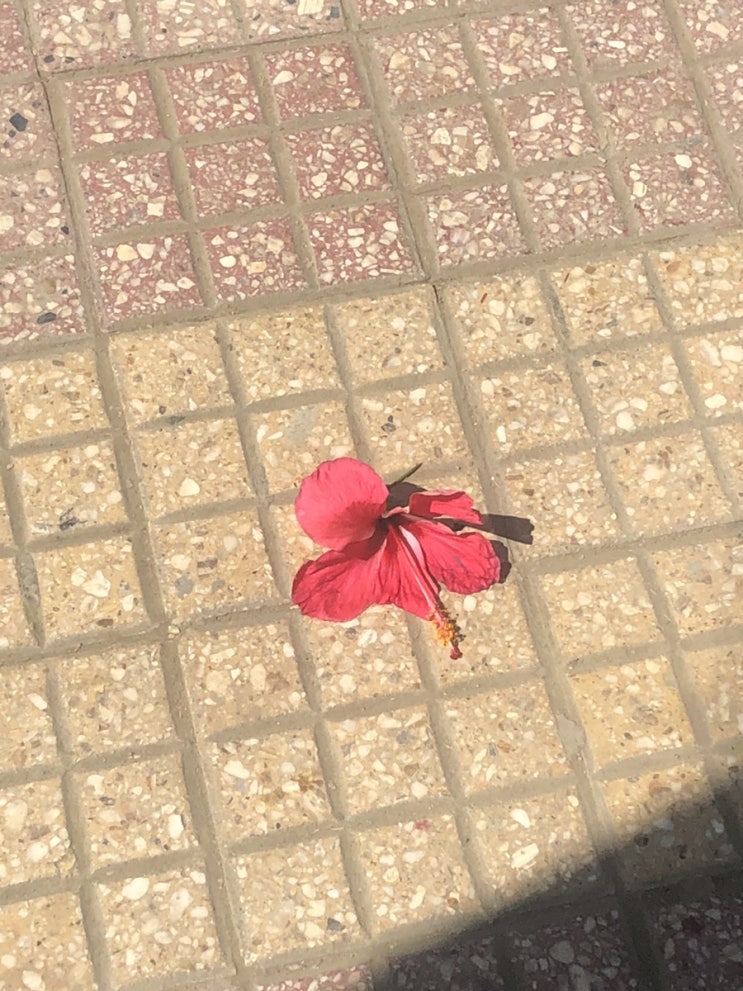  의식의 흐름 일기...