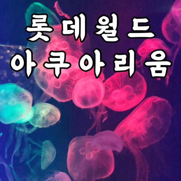  서울실내놀거리 롯데월드아쿠아리움 가격 주차장 어린이날실내 갈만한곳