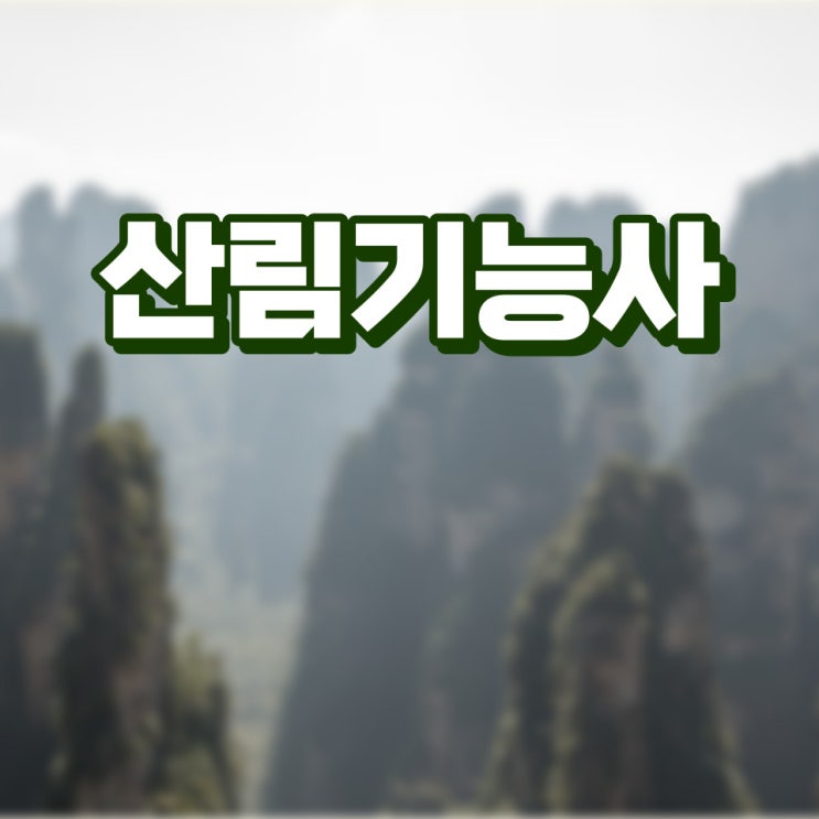 산림기능사 자격증 취득 방법과 시험정보 산림기능사 자격증 취득 방법과 시험정보