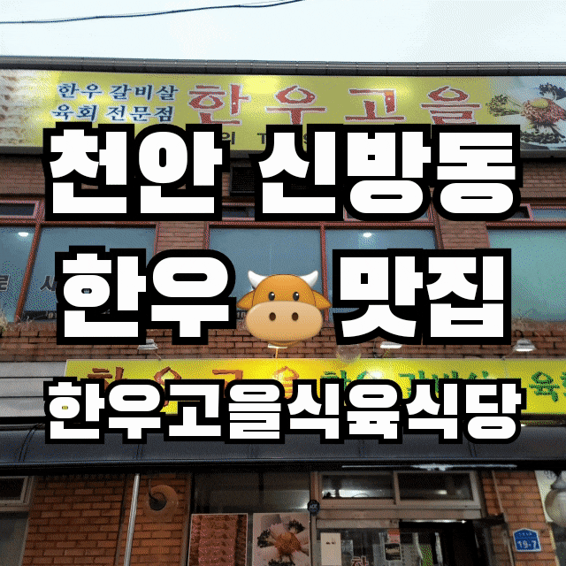  천안 신방동 한우고을식육식당 고기  맛집 후기