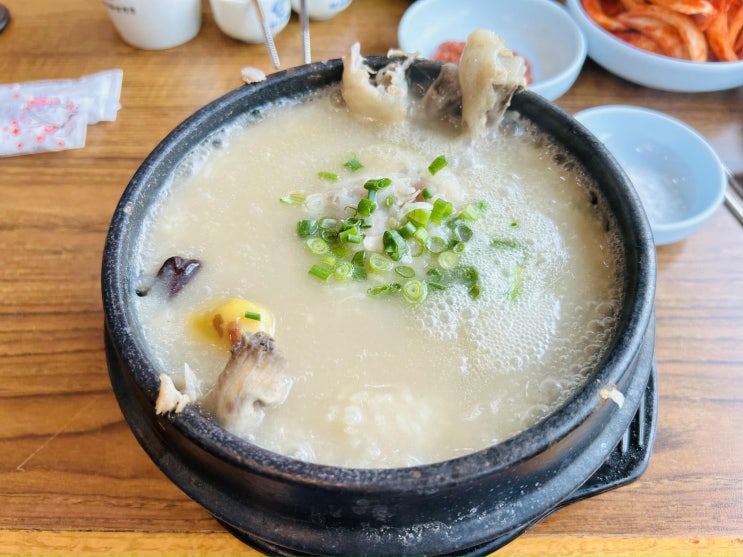  송내부천 삼계탕 맛집추천 강원토종삼계탕