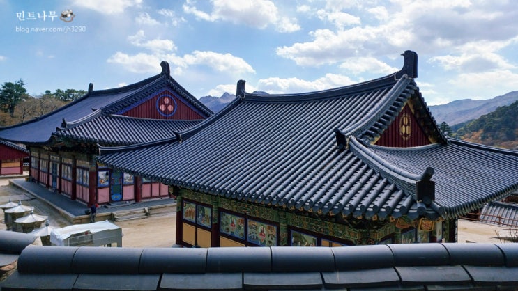  해인사 팔만대장경 관람사전예약 성보박물관 주차장