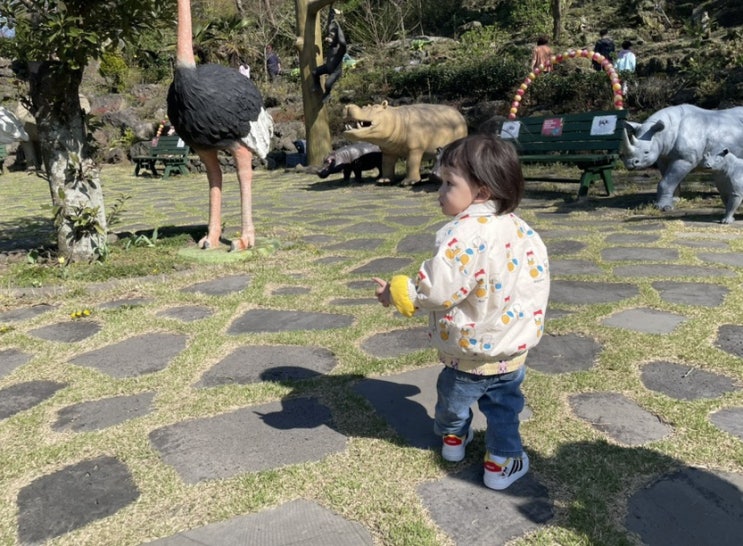 베베드피노 베이비 봄 신상 (파미에카나드 오리 바람막이 & 티셔츠 & 모자) 베베드피노 베이비 봄 신상 (파미에카나드 오리 바람막이 & 티셔츠 & 모자)
