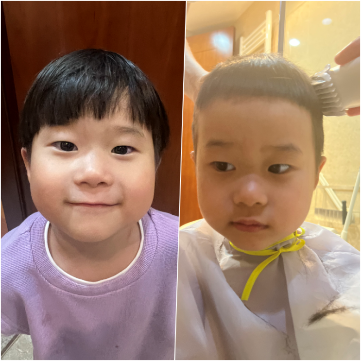  아기 머리 자르기 :: 앞머리 자르기 팁, 배냇머리 밀기 바리깡 추천