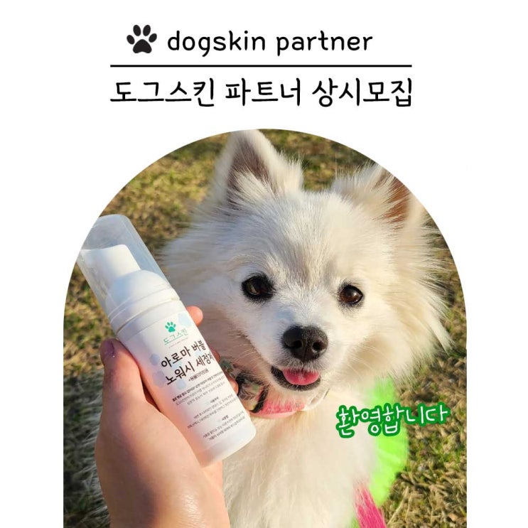  도그스킨 파트너(재택/투잡/자율)를 모집합니다