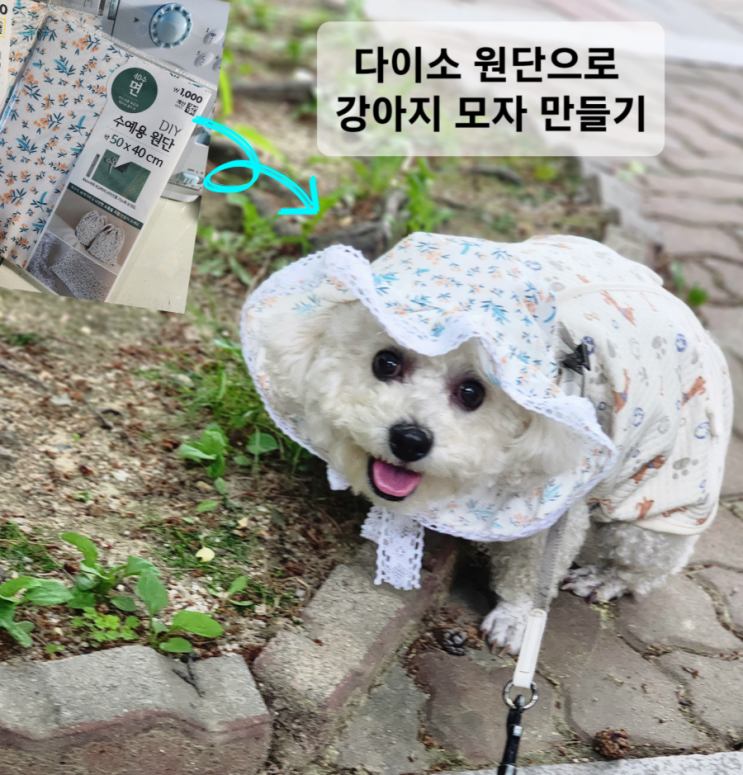  미싱특징 4탄 ) 강아지 모자 만들기! 예삐맘의 끝없는 도전!