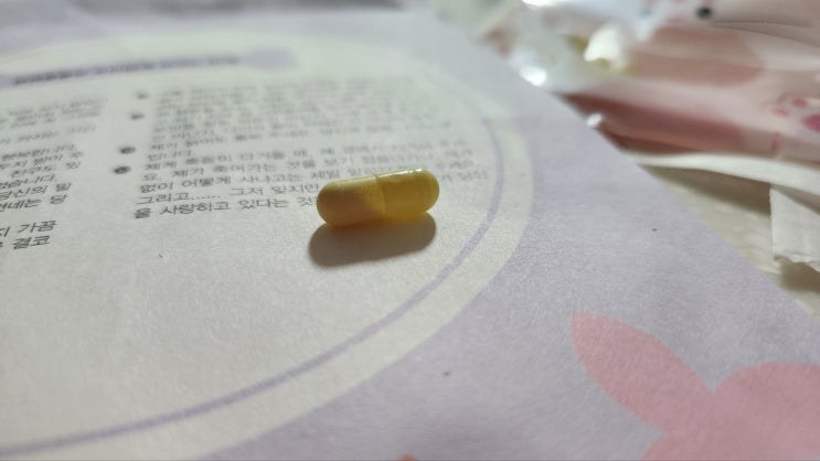 고양이 알약 먹이기 + (안약넣기) 어렸을 때와는 또 다른 알약먹이기 다큰버전