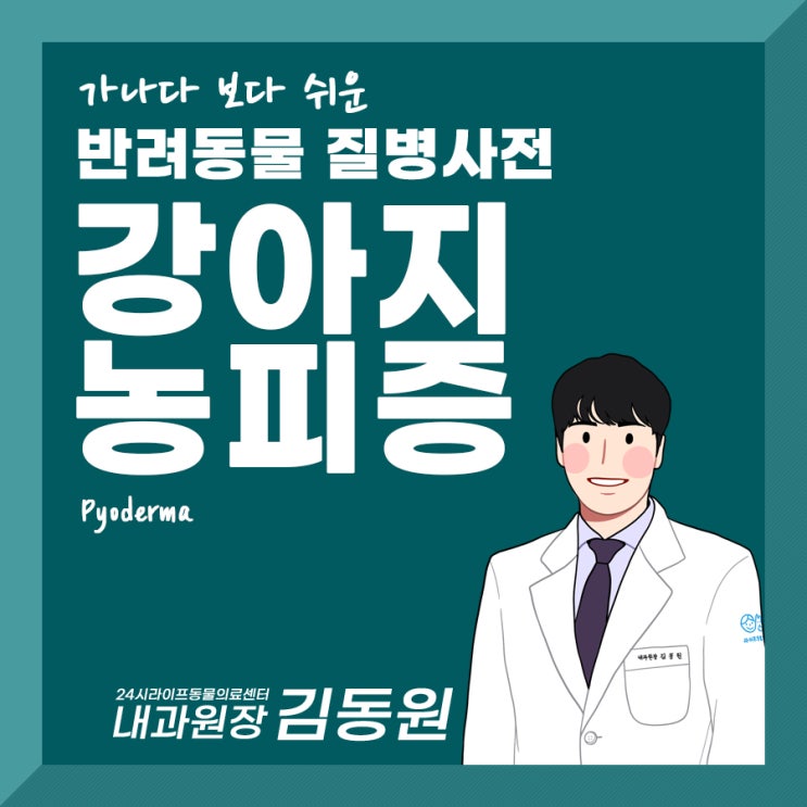 대구24시동물병원 강아지 농피증 피부질환 개선을 위해 알아야 할 것 대구24시동물병원 강아지 농피증 피부질환 개선을 위해 알아야 할 것