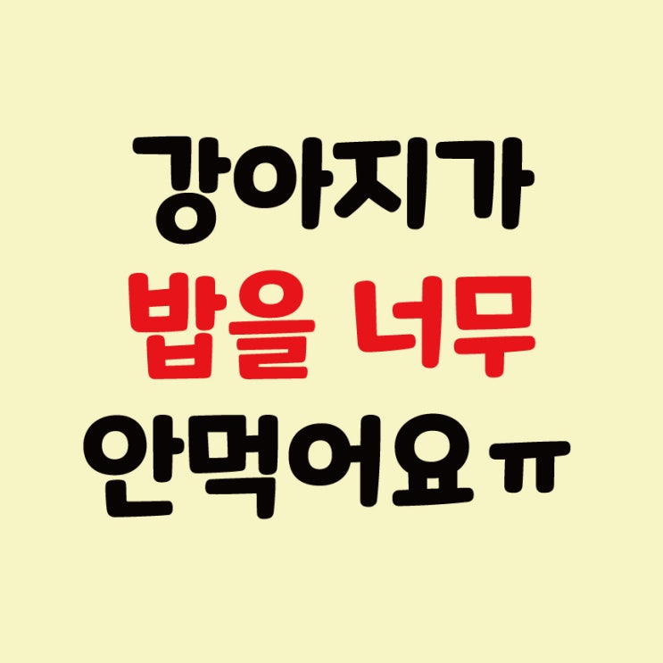  강아지가 사료, 밥을 안 먹어요. 왜 그런가요?(feat. 밥투정)