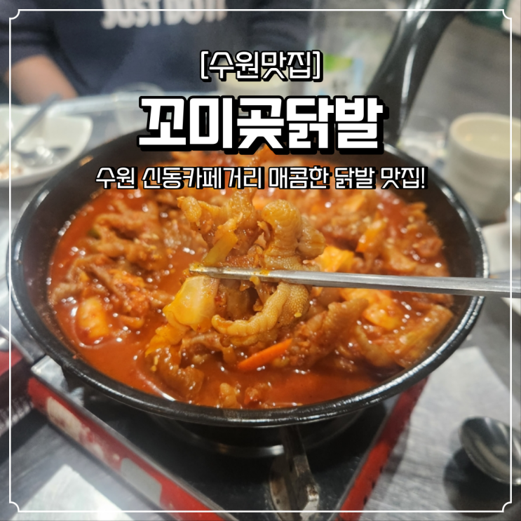 신동 술집 매콤한 꼬미곶닭발