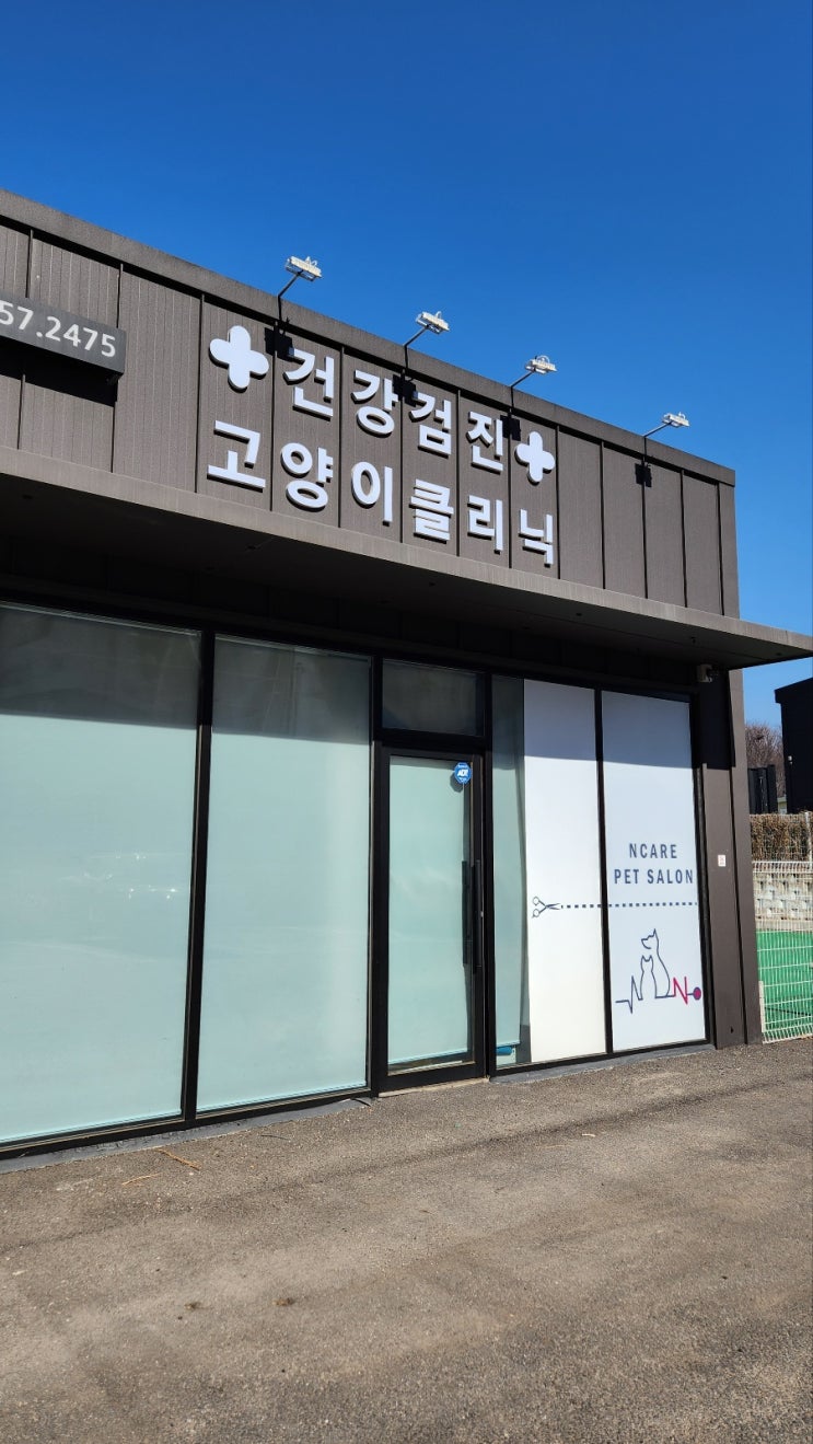  평택 엔케어동물병원 방문 고양이친화병원 골드레벨