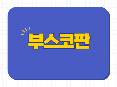 부스코판 당의정 부스코판 플러스정 위경련 생리통 등