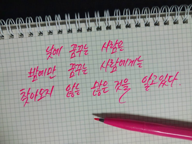 낮에 꿈꾸는 사람은 밤에만 꿈꾸는 사람에게는 찾아오지 않는 많은 것을 알고 있다.