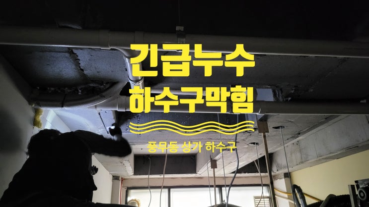 김포 풍무동 상가 하수구 막힘 배관 청소 전문 업체 김포 풍무동 상가 하수구 막힘 배관 청소 전문 업체