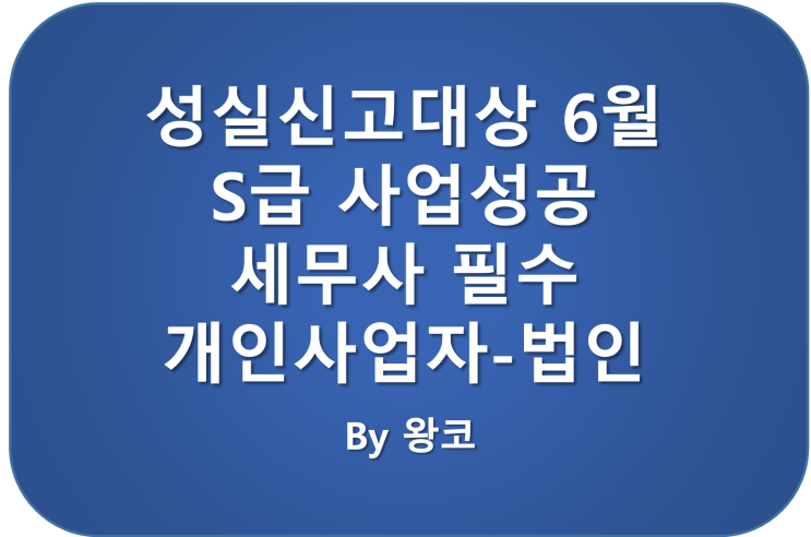  종소세 S유형 성실신고대상자 6월까지