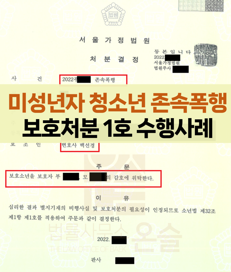  미성년자 청소년 존속폭행 수행사례(소년법 전문 변호사)