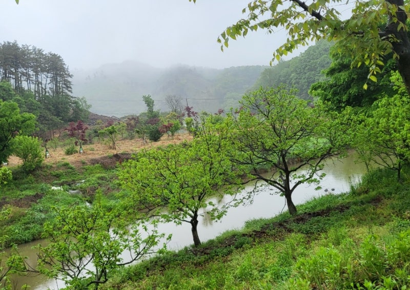 사진 3