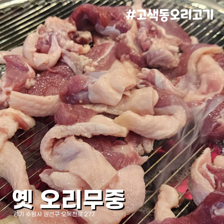  [수원/고색동맛집] 생오리로스 맛집 고색역 오리고기식당 옛 오리무중 재방문후기