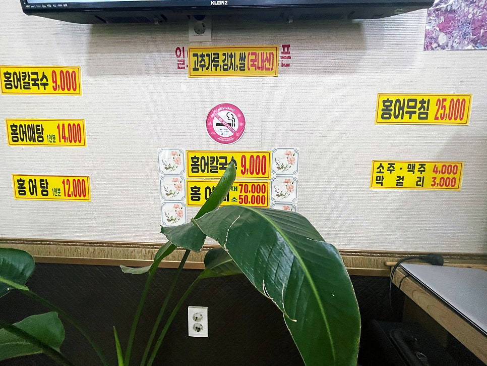 홍어와탁주 사진 6