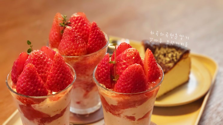  대전 갈마동 카페 프락커피룸 딸기아이스크림컵X3