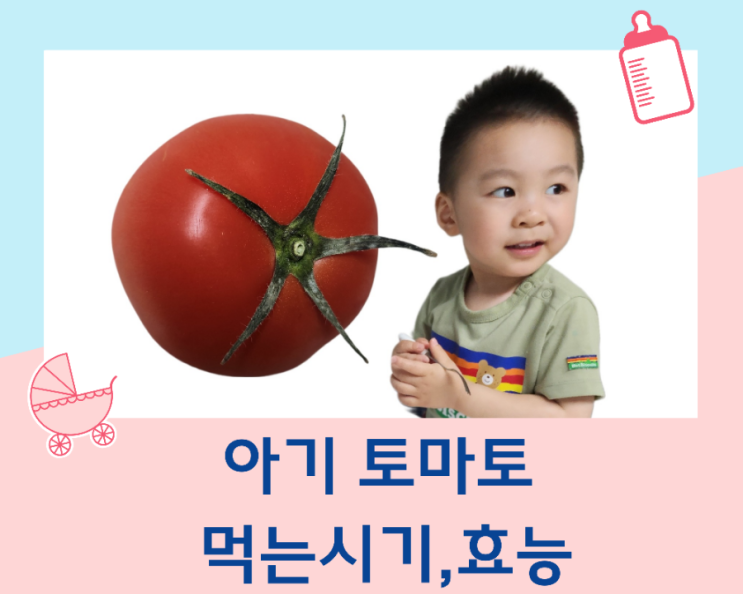  아기 토마토 언제부터 먹일 수 있을까? 시기와 효능, 부작용