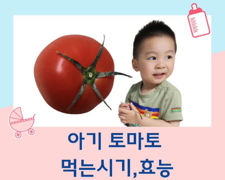 아기 토마토 언제부터 먹일 수 있을까? 시기와 효능, 부작용