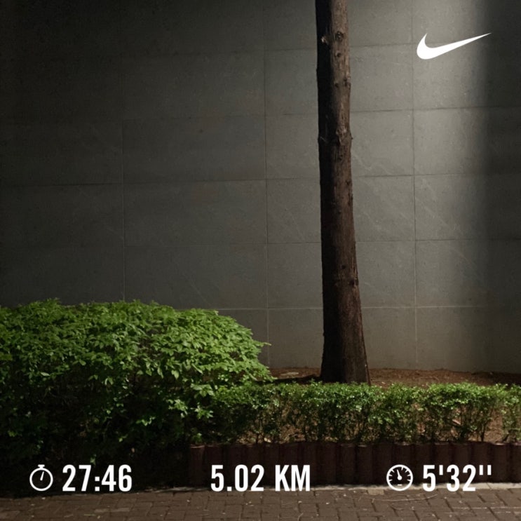  러닝로그_230506