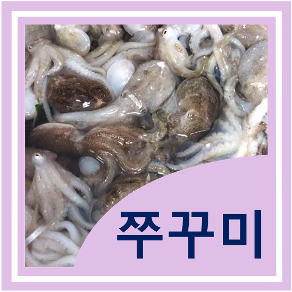  쭈꾸미 주꾸미 효능 부작용