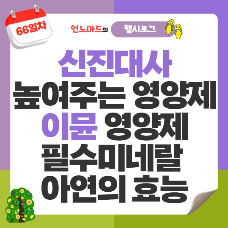  66일차, 신진대사 높여주는 영양제 및 이뮨 대표 영양제 미네랄 아연의 효능