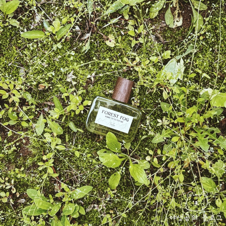 포엘리에 옴므 선물용 남자향수 숲 속에 온 듯한 감각적인 향