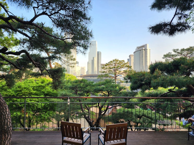  서울 강남 가볼만한곳 봉은사 사진기록 2부