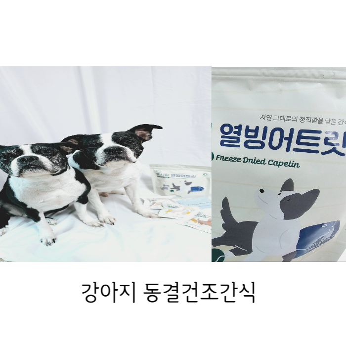  펫시밀 열빙어 외 동결건조간식 반려동물간식추천