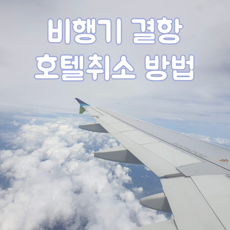  비행기 결항으로 인한 아고다호텔 전액 환불 방법 [티웨이항공]