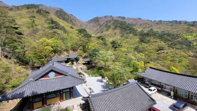 영주> 전국여행지 소백산 국립공원 철쭉제 유명한 절 사찰-희방사 ...