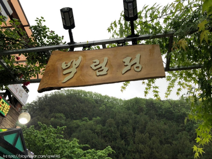  대구 도동 측백나무숲 삼계탕 전문점 백림정+측백향카페 후기