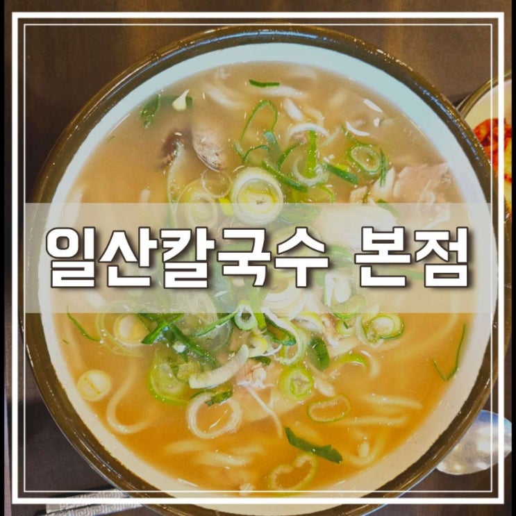 일산칼국수 본점 포장도 가능한 웨이팅 필수 맛집