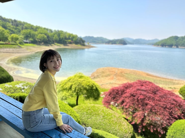  충북여행 청남대 영춘제|주차 꿀팁|예약제 폐지|특별전 및 행사