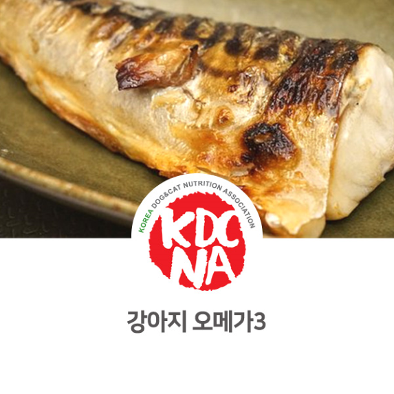  강아지 오메가3에 대해 알아보자 [한국반려동물영양협회/댕밀헌/펫푸드수업/청주/충주/단양_1093]