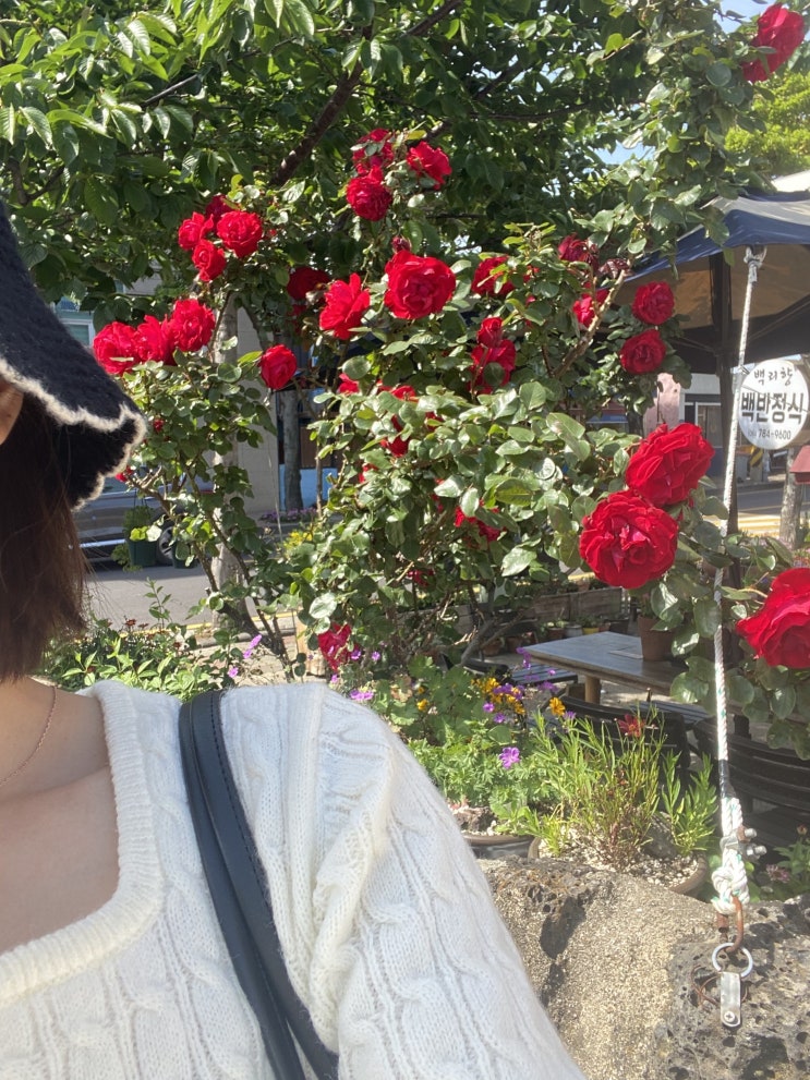 나 홀로 제주도 4박 5일 여행_4일차 ( 전기스쿠터 월정해수욕장/ 카페 무우수/ 여름문구사/ 소품샵 무드 /동문시장 야시장/그린데이 게스트하우스)