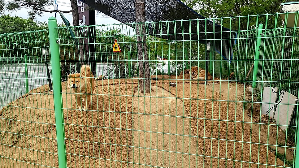 카페맘보 사진 3