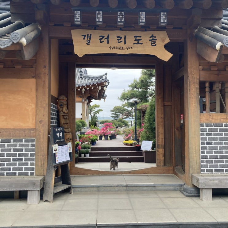  [가본곳] 강화도 한옥카페 갤러리 도솔 /내돈내산/